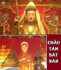 CHẦU TÁM BÁT NÀN