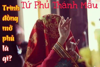 TRÌNH ĐỒNG MỞ PHỦ ĐỂ LÀM GÌ